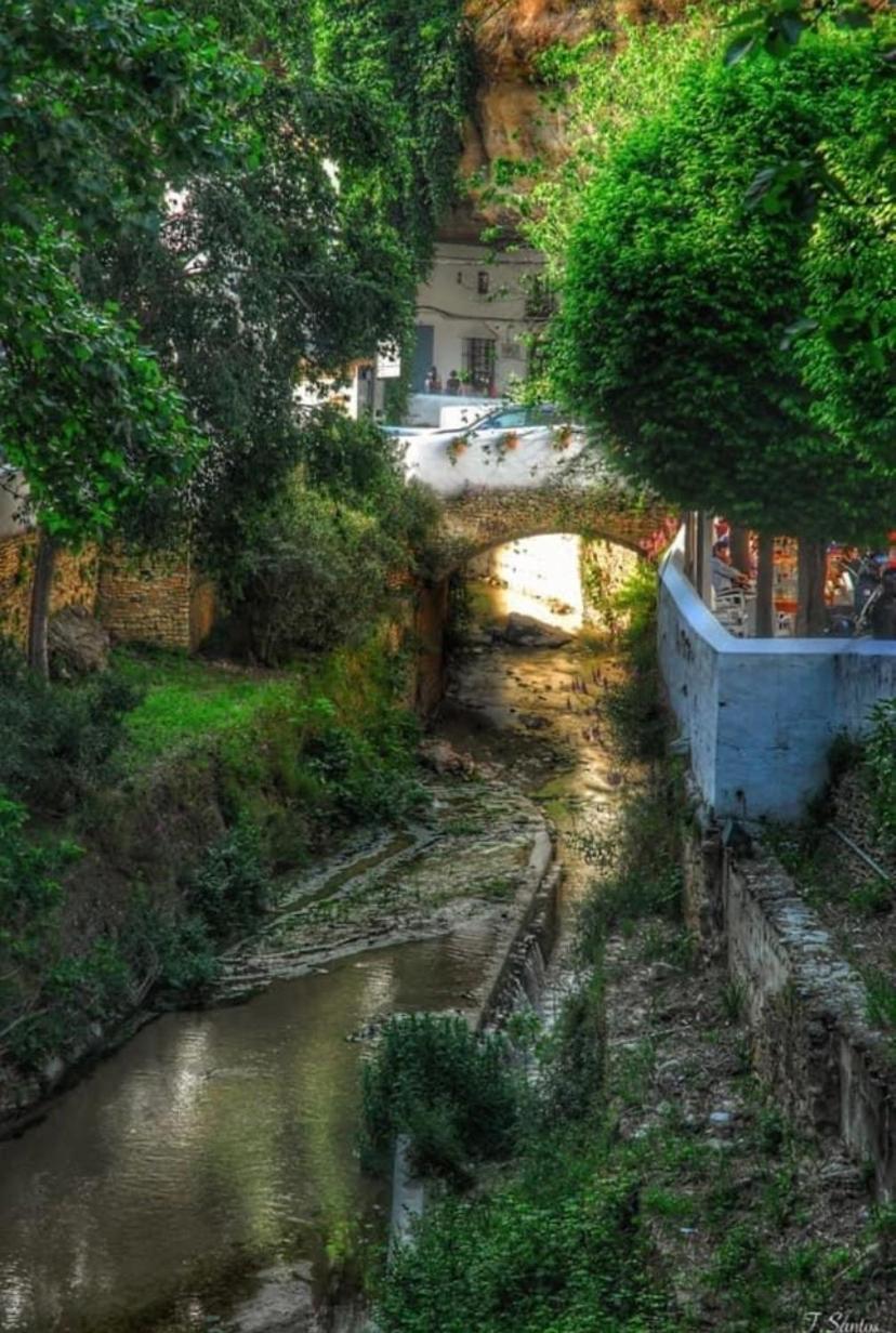 Casa Cueva Un Rincón en la Roca Setenil De Las Bodegas Exterior foto